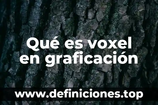 Qué es voxel en graficación