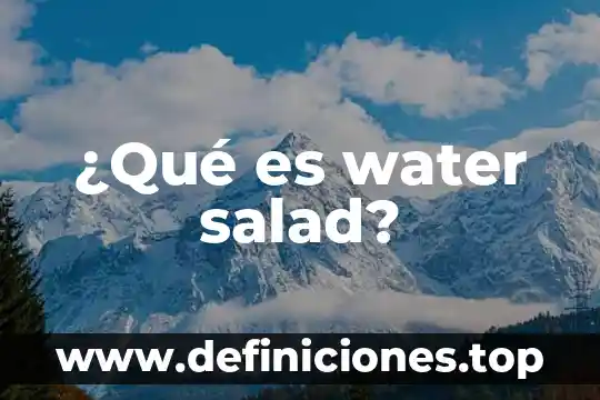 Qué es la quiebra y suspensión de pagos 4 ¿Qué es water salad?