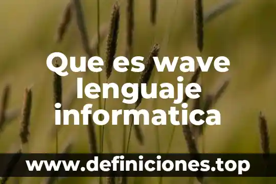 Que es wave lenguaje informatica