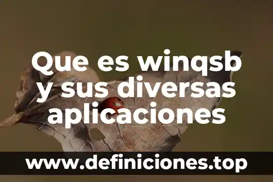 Qué es la tierra de diatomeas y sus aplicaciones 6 Que es winqsb y sus diversas aplicaciones