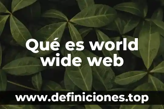 World que es vol 4 Qué es world wide web