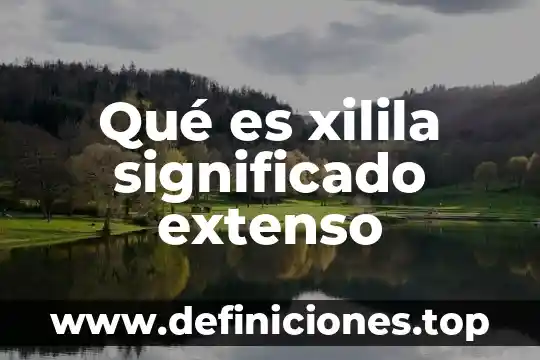 Qué es xilila significado extenso
