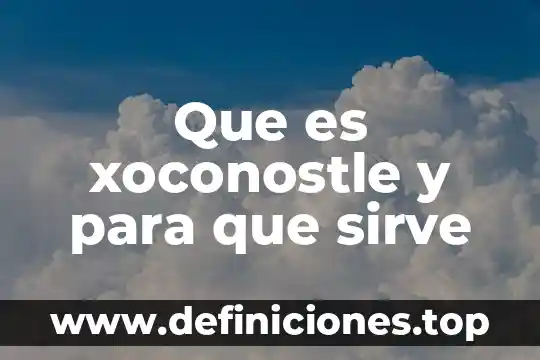 Que es un metodo de avastecimeinto y para que sirve 8 Que es xoconostle y para que sirve