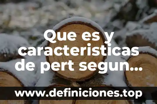 Que es y caracteristicas de pert segun autores
