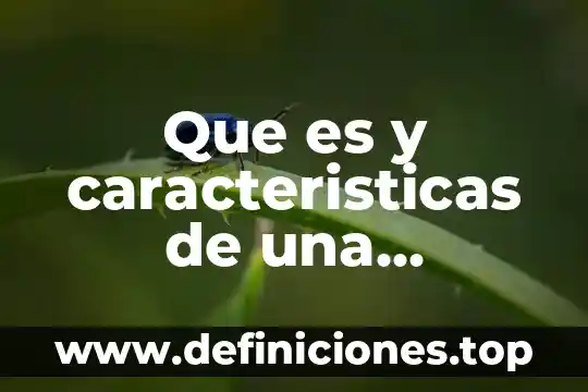 Que es una reflexion de un texto ejemplo 6 Que es y caracteristicas de una encuesta