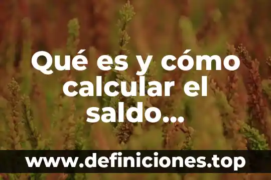 Calcular que es 5 Qué es y cómo calcular el saldo decreciente