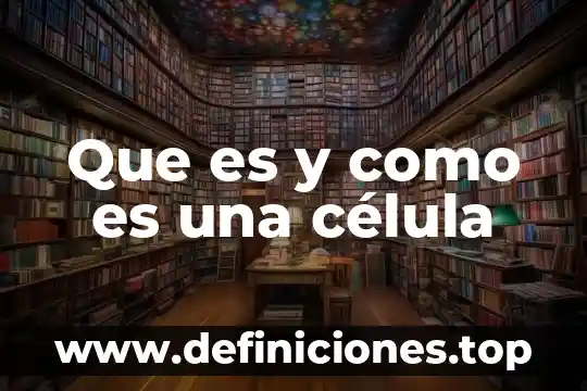 Para qué es la célula madre 5 Que es y como es una célula