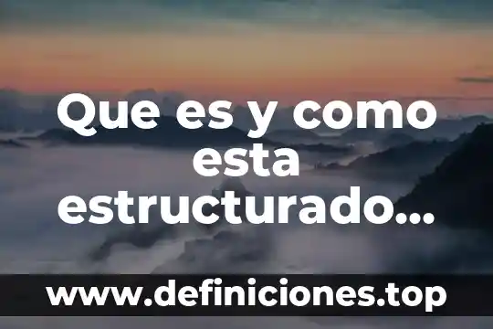 Que es y como esta estructurado un codon