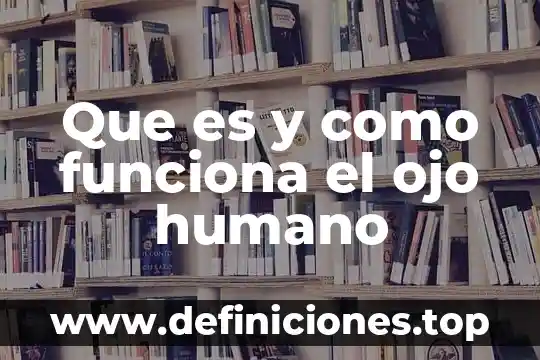 Que es un angulos de elevacion significado slideshare 4 Que es y como funciona el ojo humano