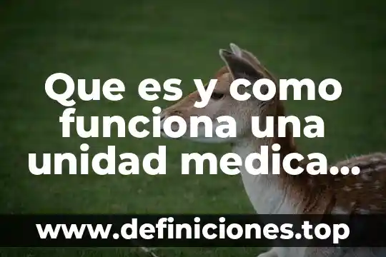 Que es la cosmovision y como funciona 6 Que es y como funciona una unidad medica en general