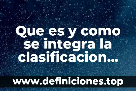 Que es un portafolio de inversion y como se integra 3 Que es y como se integra la clasificacion administrativa