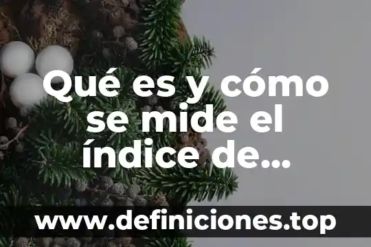 Qué es y cómo se mide el índice de marginación