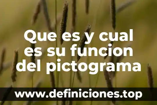 Que es y cual es su funcion del pictograma