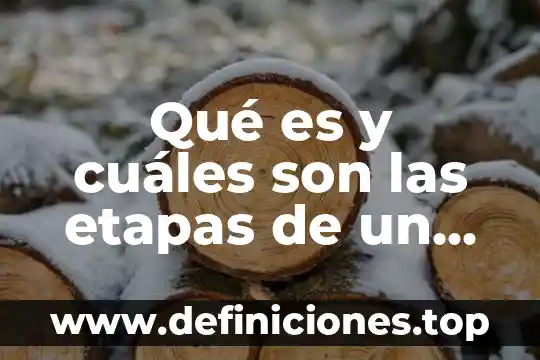 Qué es y cuáles son las etapas de un proyecto