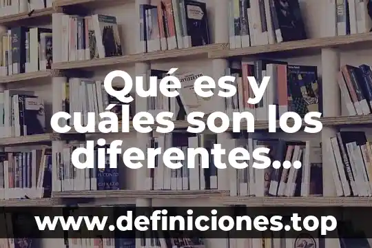Qué es y cuáles son los diferentes tipos de fermentación