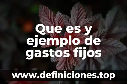 Qué es gastos fijos y variable en administración 8 Que es y ejemplo de gastos fijos