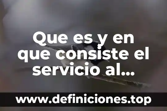 Que es y en que consiste el servicio al cliente