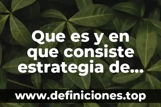 Que es y en que consiste estrategia de sociedad