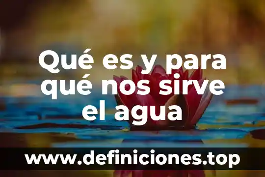 Qué es y para qué nos sirve el agua