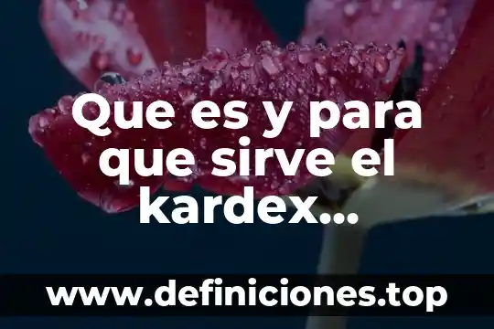 Que es el bolo alimenticio para niños de primaria 6 Que es y para que sirve el kardex alimenticio
