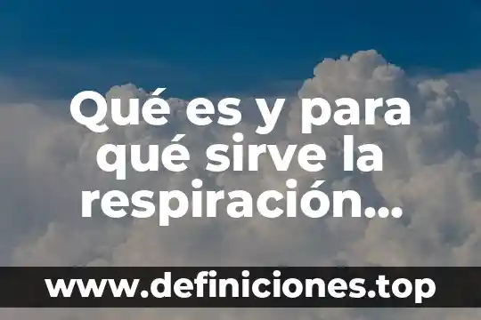 Que es cpu en un celular 3 Qué es y para qué sirve la respiración celular