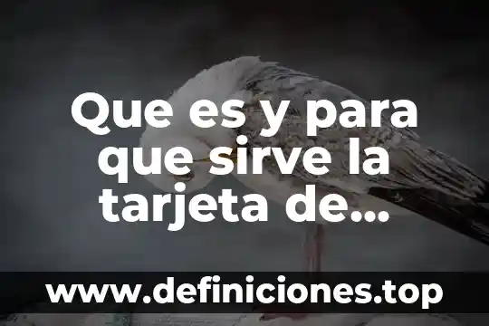 Que es y para que sirve la instrucción if 4 Que es y para que sirve la tarjeta de vitacora