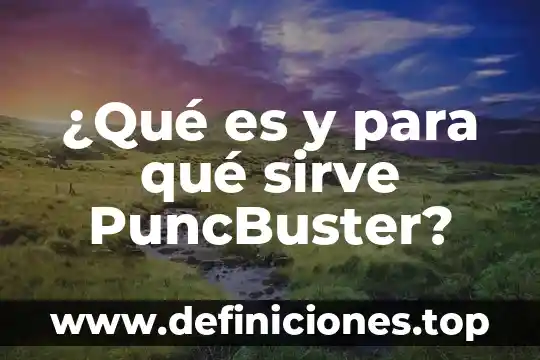 Vga que es y para que sirve 5 ¿Qué es y para qué sirve PuncBuster?
