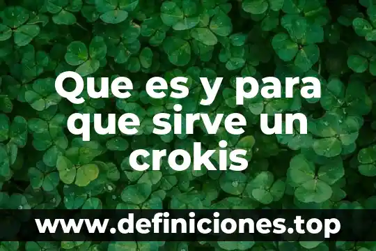 Que es software pom qm for windows 4 Que es y para que sirve un crokis