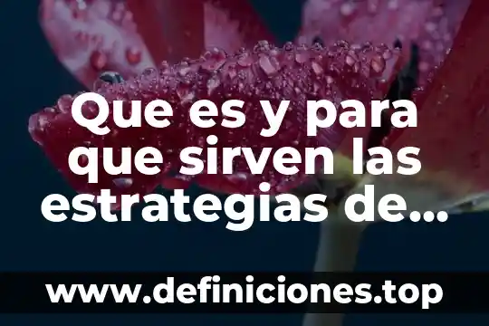 Desarrollar estrategias que es 5 Que es y para que sirven las estrategias de aprendizaje