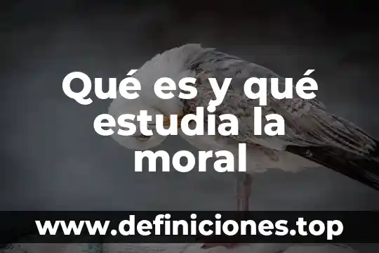 Que es e firma persona moral 5 Qué es y qué estudia la moral