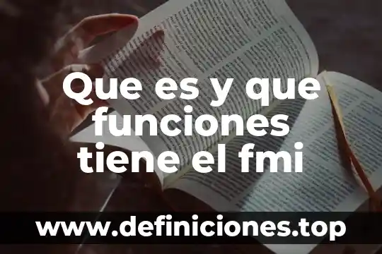 Qué es la fmi y su función 6 Que es y que funciones tiene el fmi