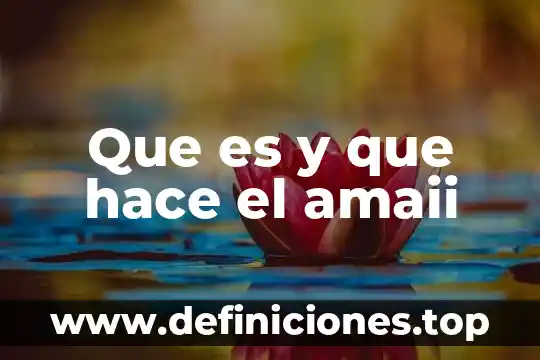 Que es lo que hace un gerente de un negocio 8 Que es y que hace el amaii