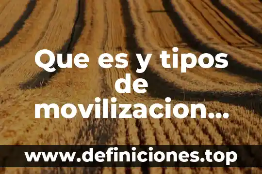 Que es y tipos de movilizacion del paciente