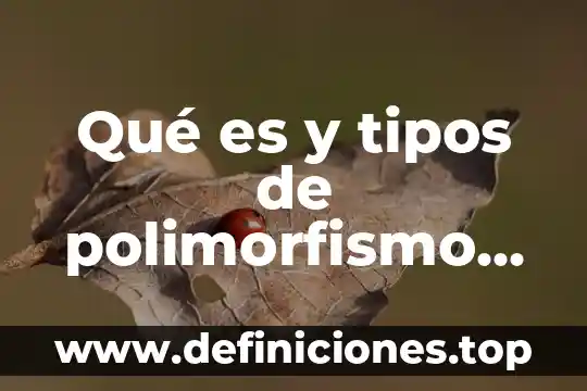 Cataloog de cienyas que es y tipos 4 Qué es y tipos de polimorfismo genético artículo