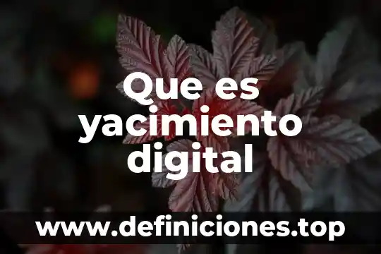 Que es yacimiento digital