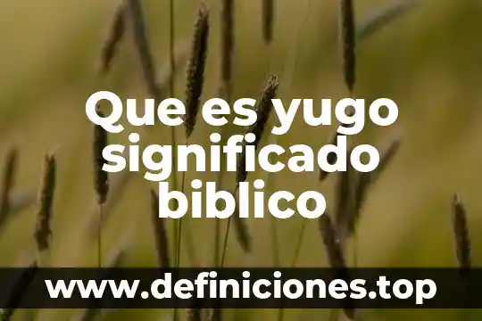 Que es yugo significado biblico