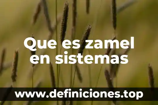 Que es zamel en sistemas