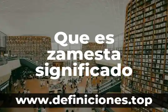 Significado que es la salud 5 Que es zamesta significado