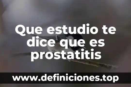 Que estudio te dice que es prostatitis