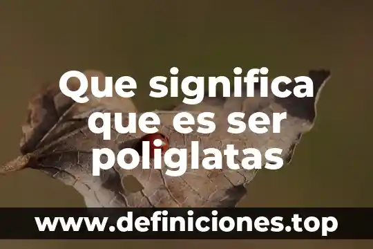 Que significa que es ser poliglatas