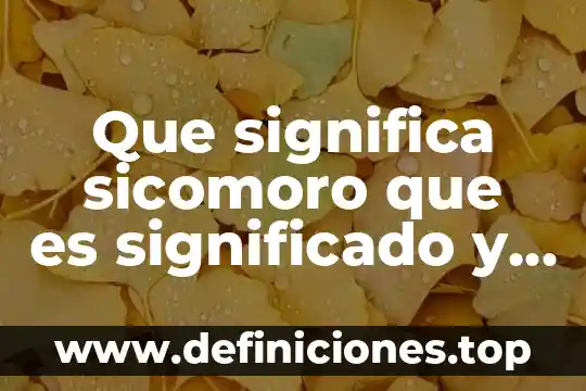 Que es el concepto filogenetico de especie 3 Que significa sicomoro que es significado y concepto