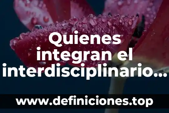 Qué es el enfoque interdisciplinario de las ciencias sociales 6 Quienes integran el interdisciplinario que es