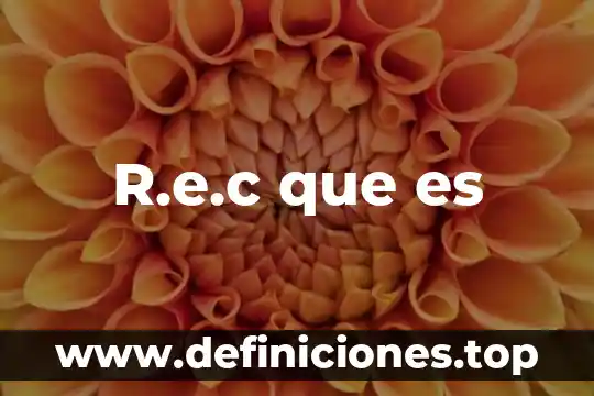 Vela que es 5 R.e.c que es