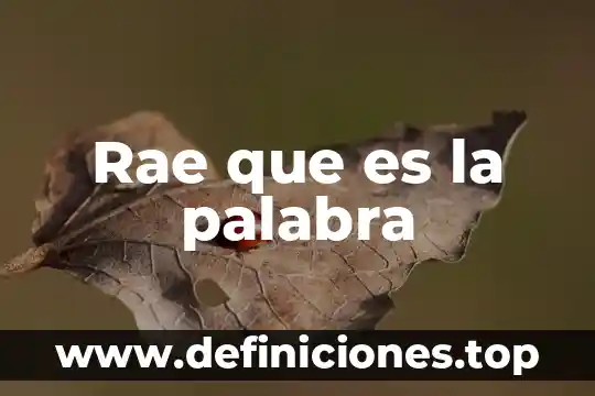 Qué es la lógica en el diccionario rae 4 Rae que es la palabra
