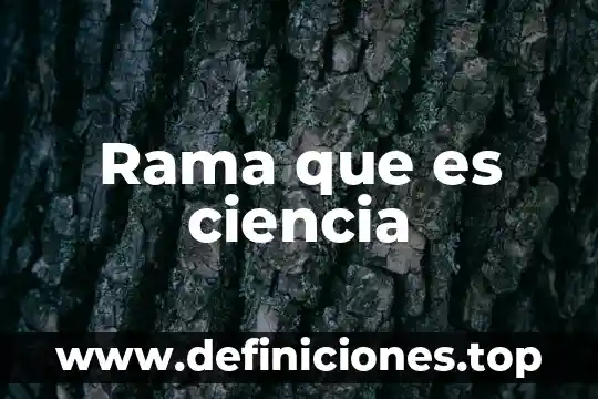 Que es la rama terminal y la rama colateral anatomia 6 Rama que es ciencia