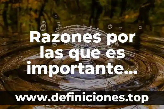 Razones por las que es importante conocer la capacitación