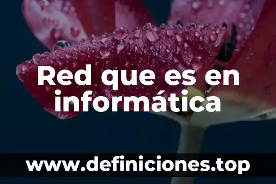 Red que es en informática