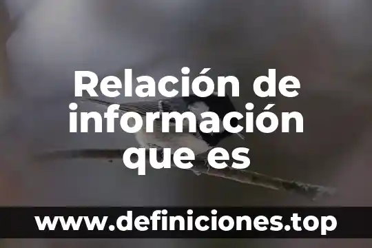Relación de información que es