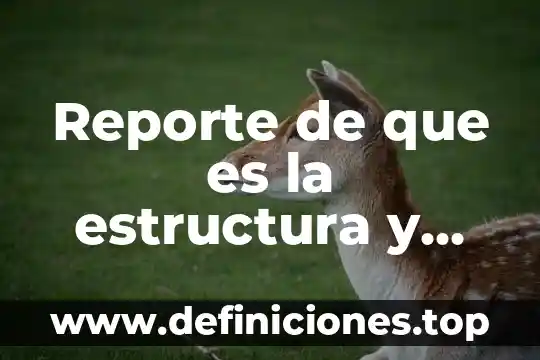 Reporte de que es la estructura y superestructura