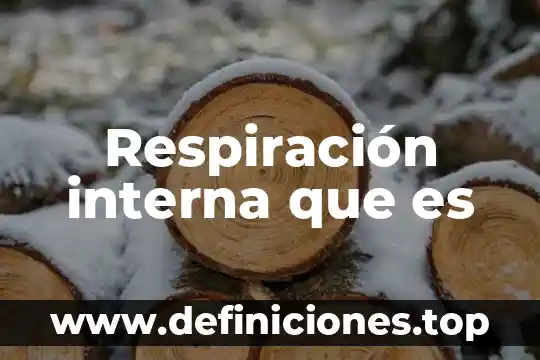 Respiración interna que es